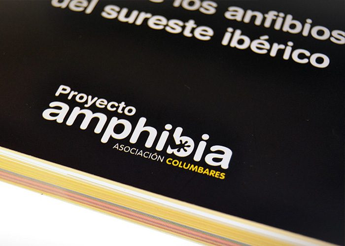 detiketa-estudio-creativo-guia-anfibios-sureste-iberico-proyecto-amphibia