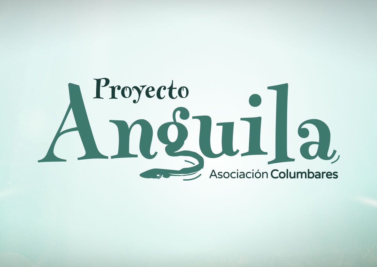 1-detiketa-estudio-creativo-proyecto-anguila-asociacion-columbares